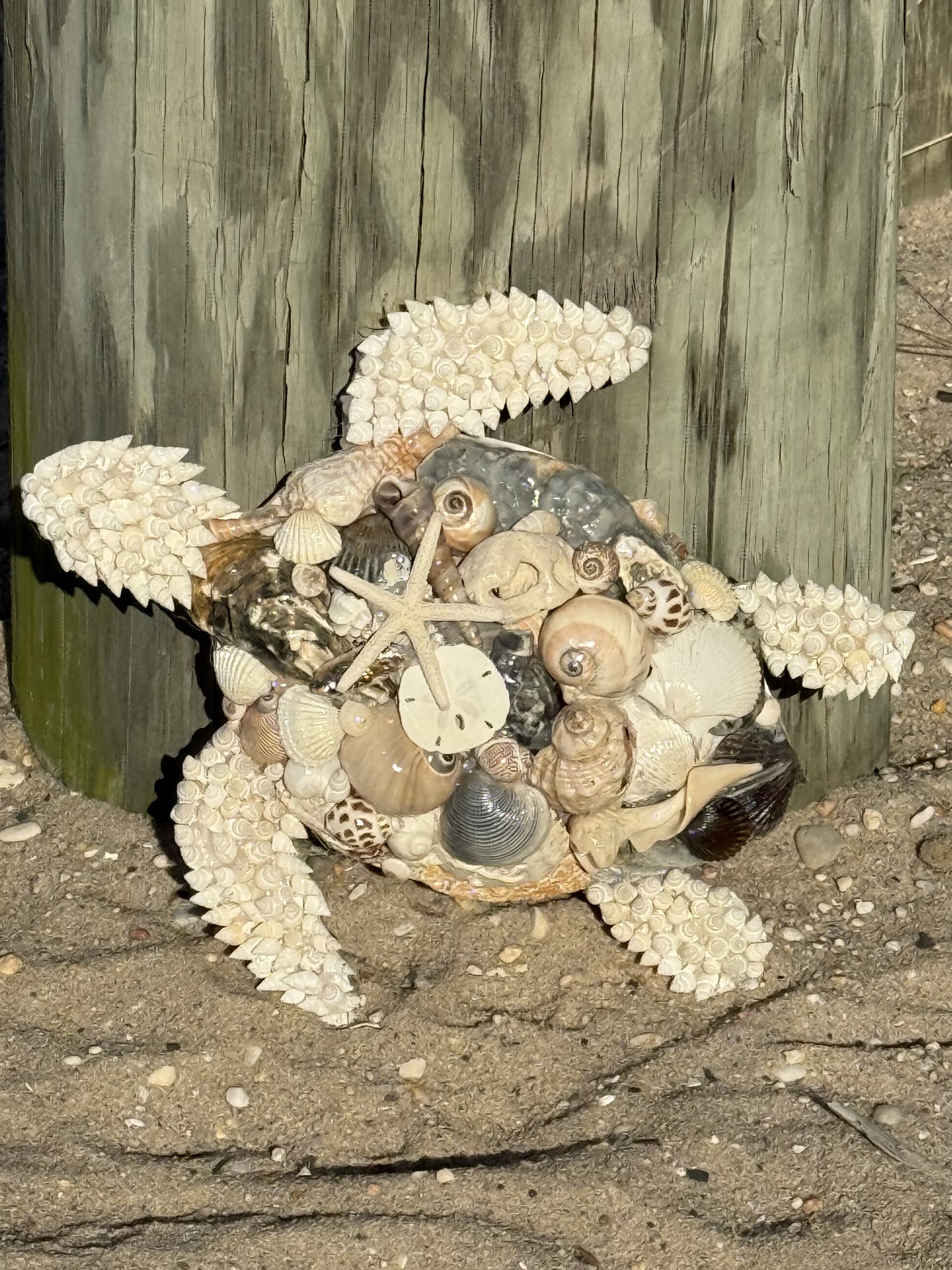 18 Inch Decorative Turtles