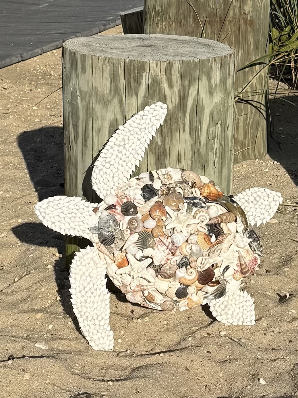 18 Inch Decorative Turtles - Warm Hues